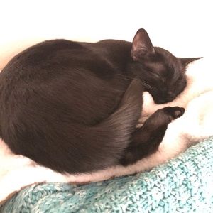 Meet your Posher, Daniel